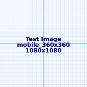 test ticket